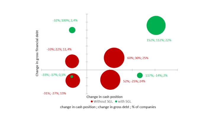 Changes in companies’ gross financial debt and cash position
