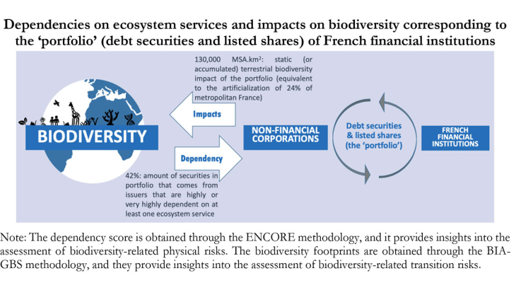 Dependencies on ecosystem services and impacts on biodiversity corresponding on the "portfolio" of French financial institutions