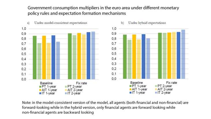Government consumption multipliers in the euro area under different monetary policy rules and expectation formation mechanisms