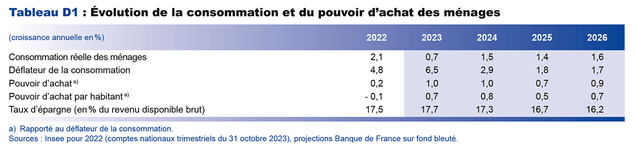 Tableau D1 : Evolution de la consommation et du pouvoir d'achat des ménages