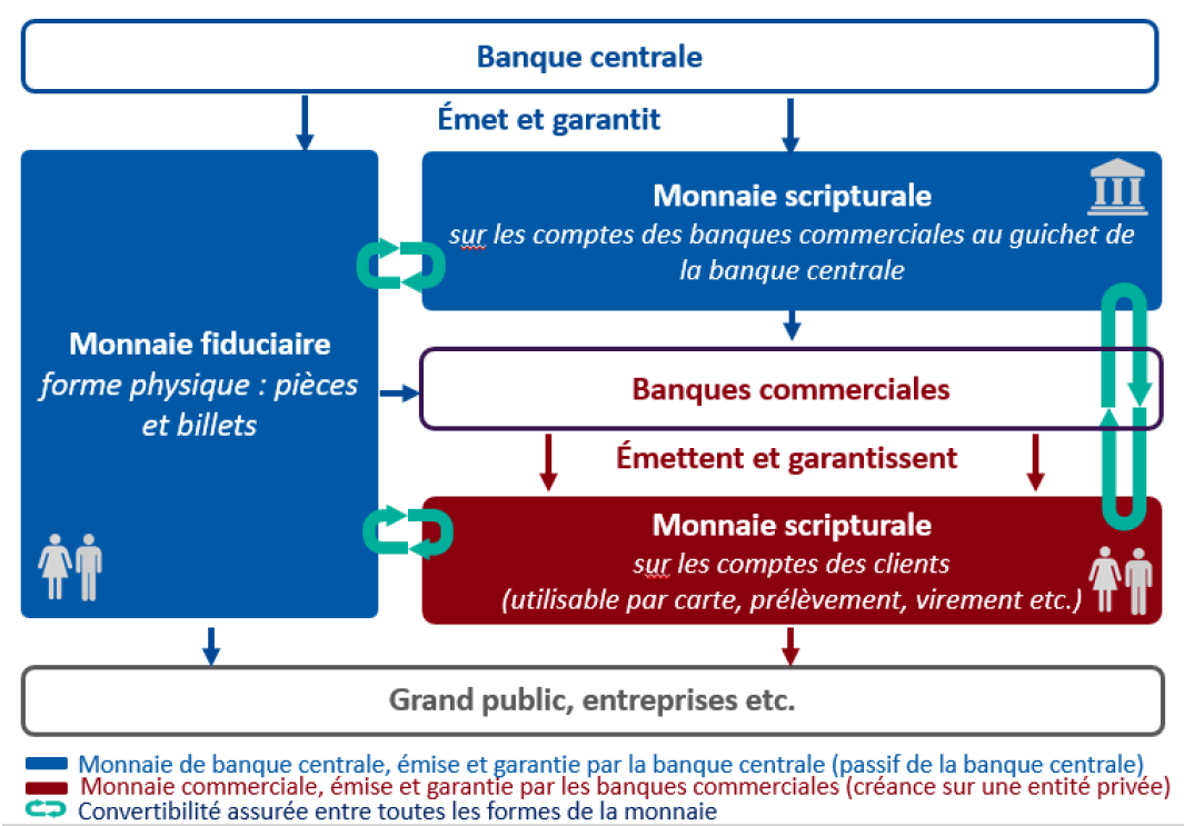 Schéma simplifié : monnaie de banque centrale  et monnaie commerciale