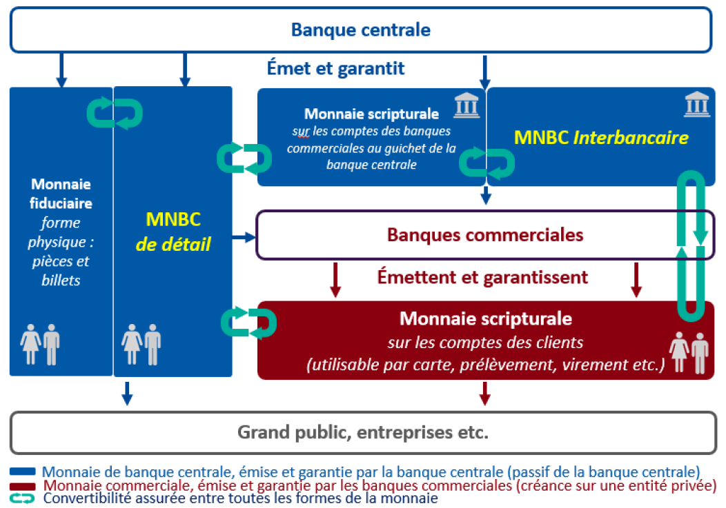 Schéma simplifié qui introduit la MNBC : 