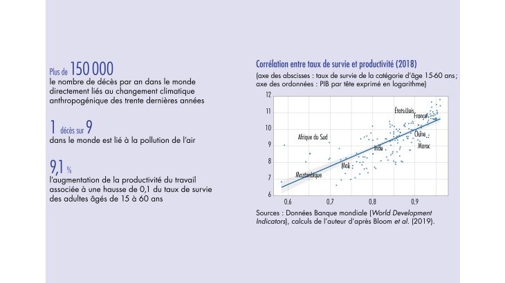 Corrélation entre taux de survie et productivité (2018)