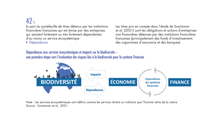 Dépendances aux systèmes écosystémiques et impacts sur la biodiversité