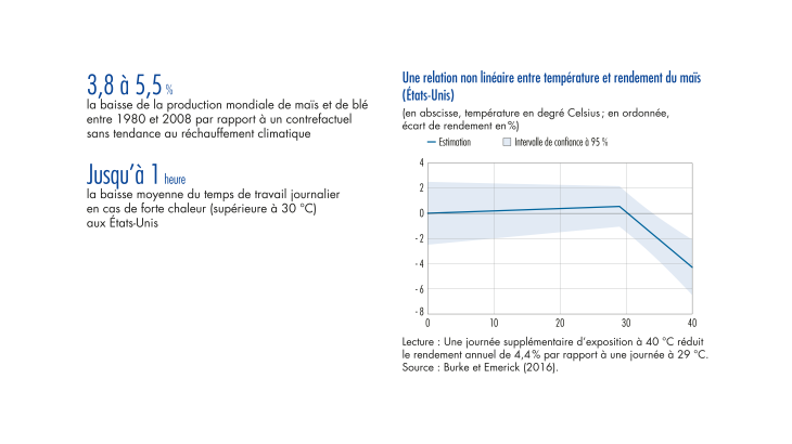 Une relation non linéaire entre température et rendement du maïs, Etats-Unis 2016