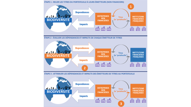 Graphique 2 : Méthodologie d’évaluation des impacts et dépendances du portefeuille de titres Source : Auteurs, d’après Svartzman et al. (2021) Note : 3 grandes étapes : liaison des titres détenus à leurs émetteurs non financiers ; évaluation des dépendances et impacts des émetteurs ; attribution de ces impacts et dépendances au portefeuille.