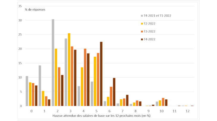 Distribution de l’évolution des salaires anticipée par les chefs d’entreprise pour les 12 prochains mois