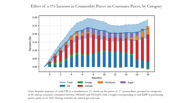 Effect of 1% Increase in commodity Prices on Consumer Prices, by category