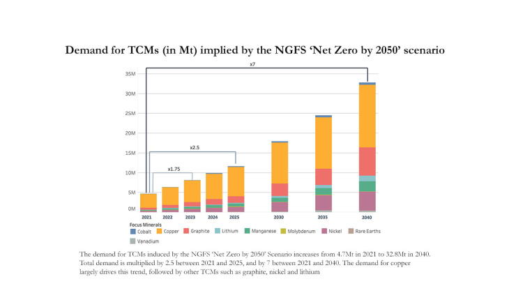 Demand for TCMs (in Mt) implied by the NGFS Net Zero by 2050 scenario