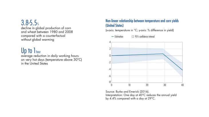 Non linear relationship between temperature and corn yields  ( United States)