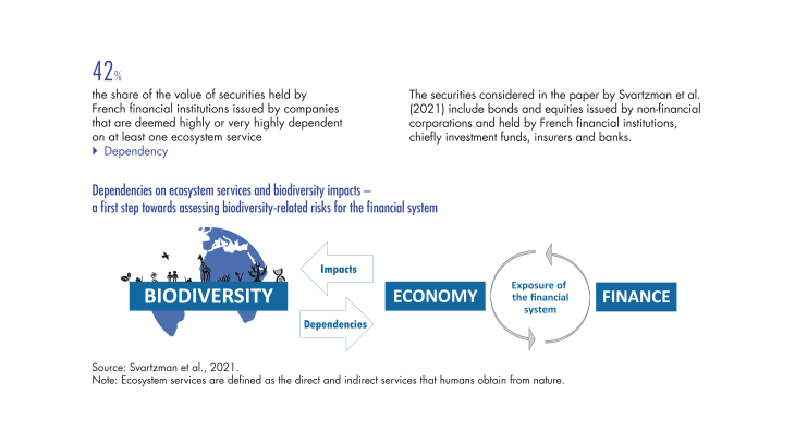 Biodiversity loss and financial stability: a new frontier for central banks and financial supervisors?