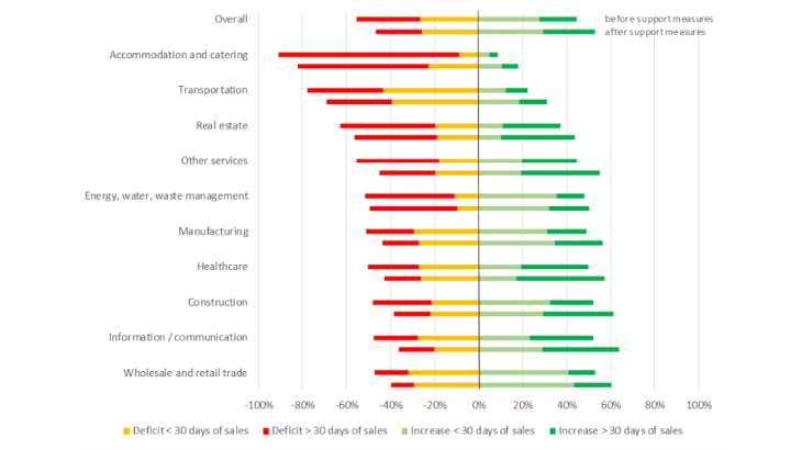 Share of companies in each sector with a positive or negative cash flow shock at end-2020