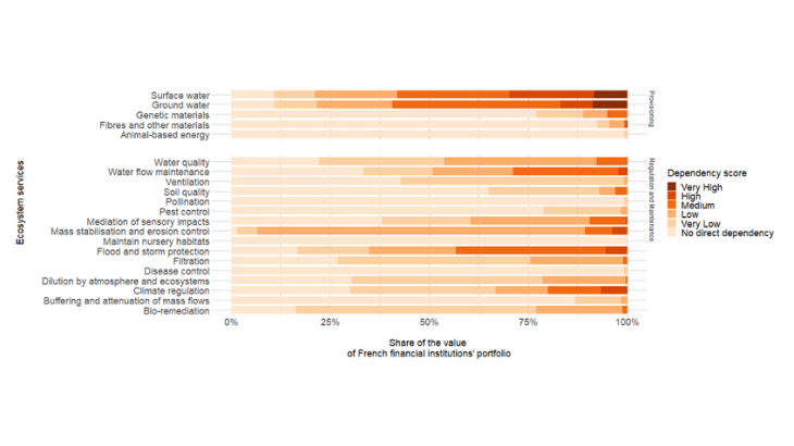 Chart 3: Level of portfolio dependency on 21 ecosystem services Source: Svartzman et al. (2021) Note: About 30% (respectively about 15%) of the portfolio has a High or Very High dependency on the ecosystem service "surface water" (respectively "groundwater").