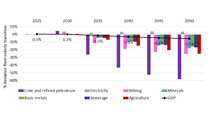 Chart 4: Trajectory of the impact of a sudden transition on French GDP and on value added in selected sectors Source: Authors’ calculations