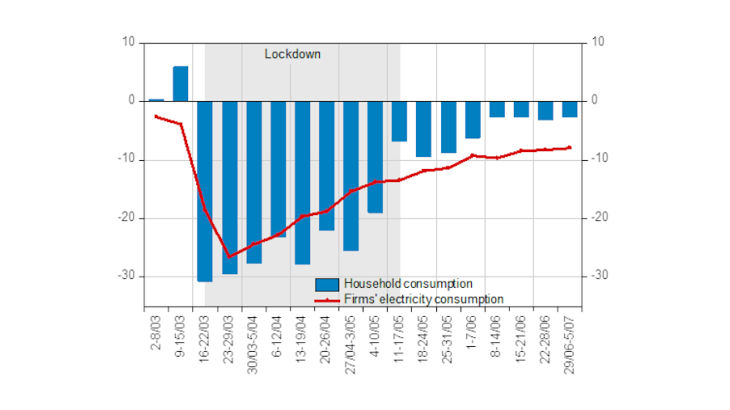 Impact of the health crisis on household consumption and firms' electricity consumption (%)