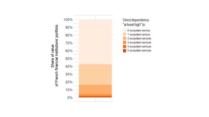 Chart 1: Dependencies of the securities portfolio held by French financial institutions on ecosystem services Source: Svartzman et al. (2021). Note: 42% of the value of the securities portfolio held by French financial institutions was issued by companies that are highly or very highly dependent on at least one ecosystem service.