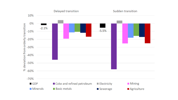Chart 1: Impact of disorderly transitions on total and sectoral activity in France in 2050 (compared with an orderly transition) Source: Authors’ calculations