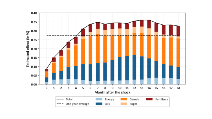 Chart 1: Impact of a 1% rise in commodity prices on consumer prices in Africa Source: Authors’ calculations based on the local projection method. Data from the World Bank, International Monetary Fund (IMF), International Disaster Database (EM-DAT), and Armed Conflict Location and Event Data Project (ACLED).