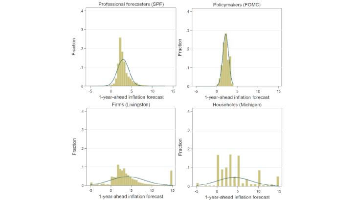 Figure 3 - Distribution across time and individuals of inflation expectations in the US Source: authors’ computations.