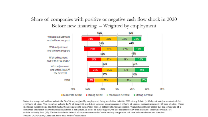 Share of companies with positive or nefative cash flow shock in 2020 