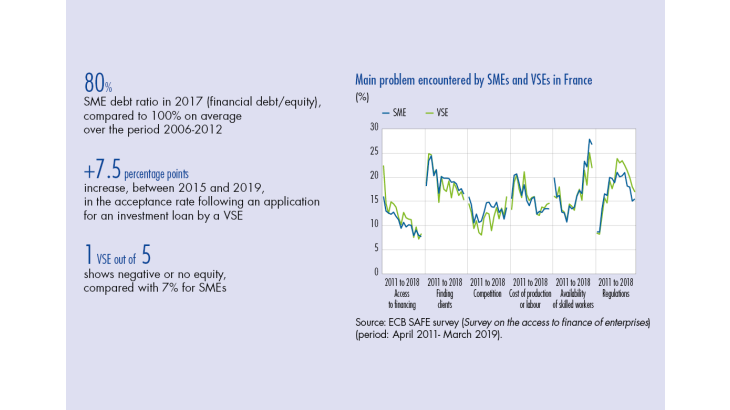 Main problem encoutered by SMEs and VSEs in France