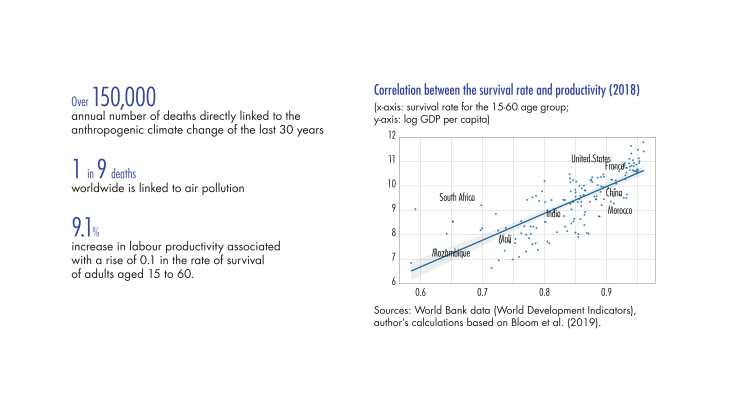 Correlation between the survival rate and productivity
