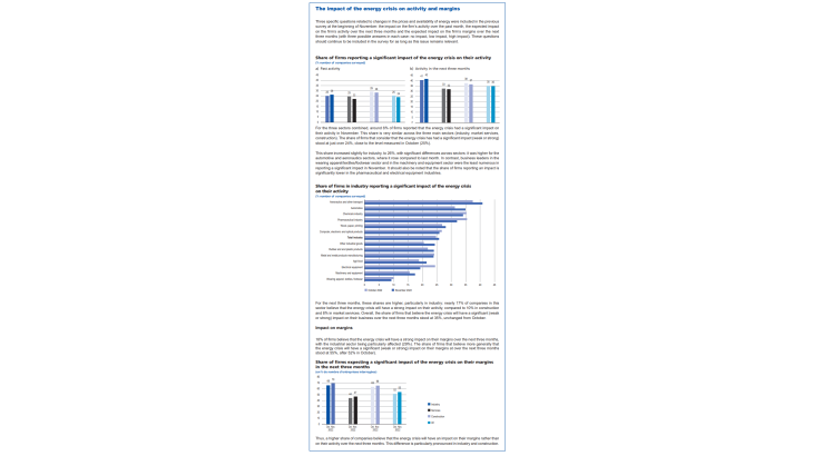 Monthly Business Survey – December 2022 - The impact of the energy crisis on activity and margins