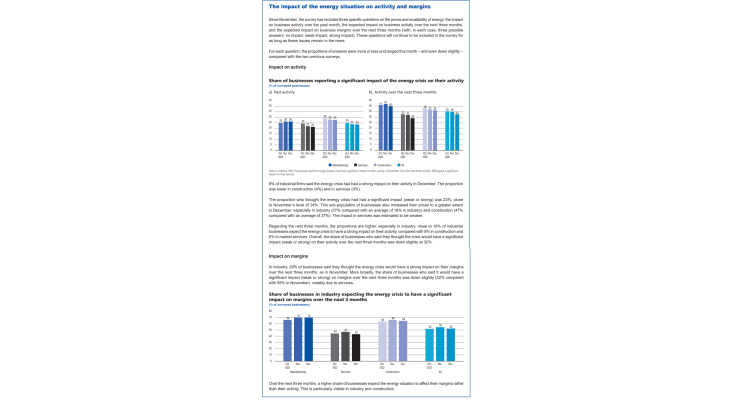 Update-business-conditions-france-january2021 - Graph10 - The impact of the energy situationi on activity and margins
