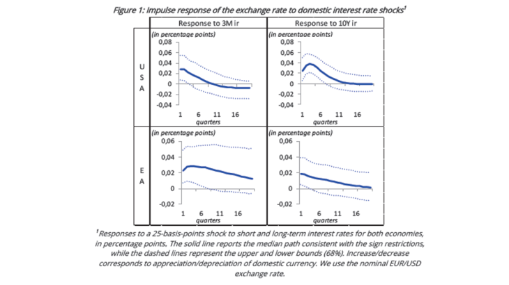 Impulse response of the exchange rate to doestic interest rate schocks