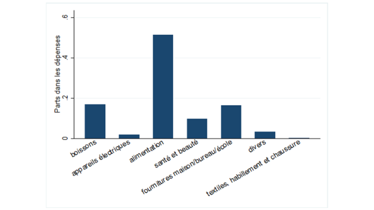 Graphique 2 : Distribution des dépenses par grandes catégories de produit. Source : calculs des auteurs à l’aide des données de AC Nielsen. Note : distribution des dépenses dans les secteurs de biens exportables pour lesquels des données de prix sont disponibles.