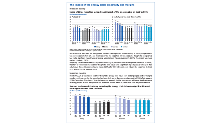 The impact of the energy crisis on activity and margins