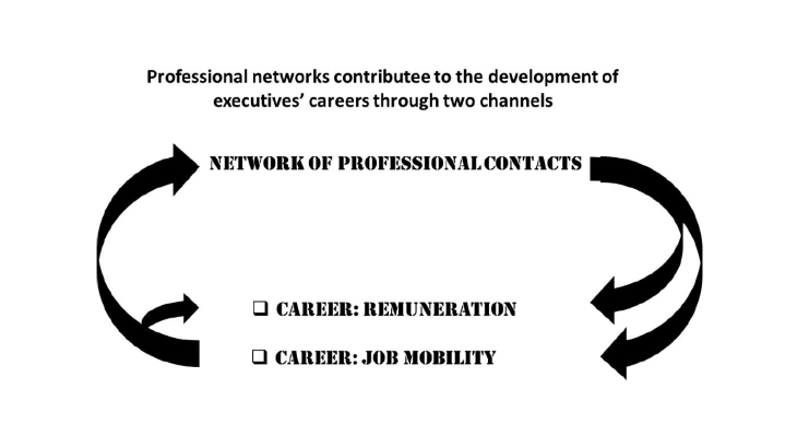 Professional Networks and their Coevolution with Executive Careers