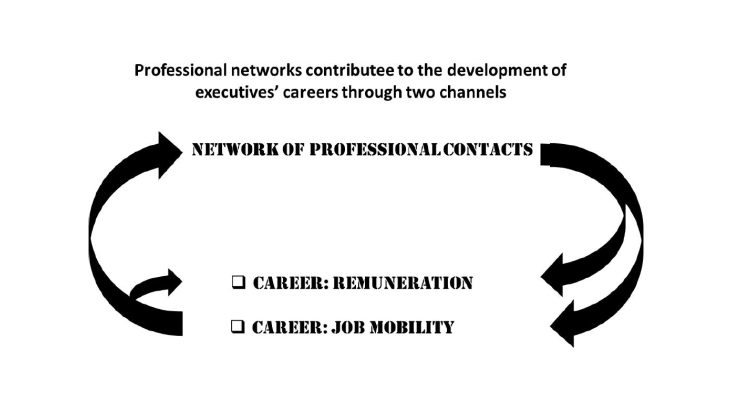 Réseaux professionnels et leur coévolution avec la carrière des cadres dirigeants
