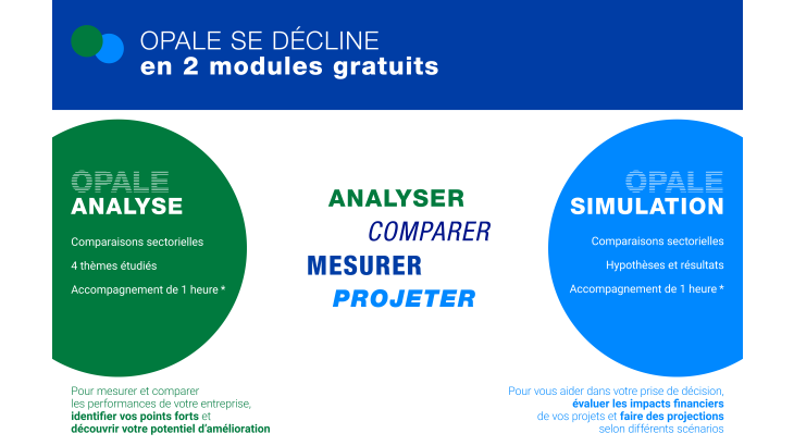 Diagnostic financier (Opale)