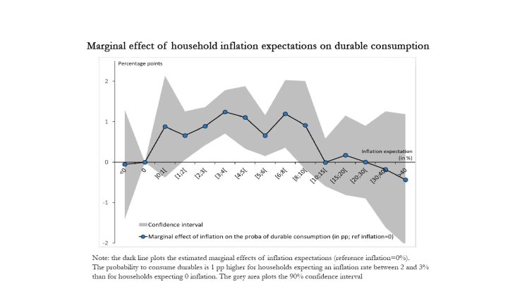 Marginal effect of household inflation expectations on durable consumption