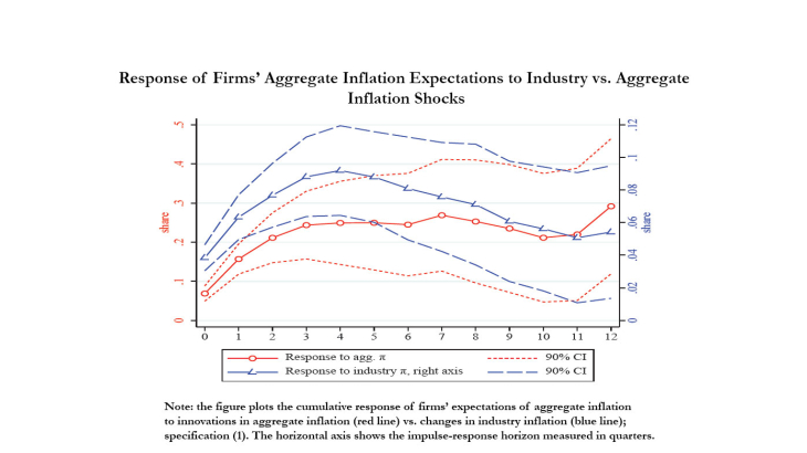Response of Firms Aggregate Inflation Expectations to Industry vs. Aggregate In"flation Shocks