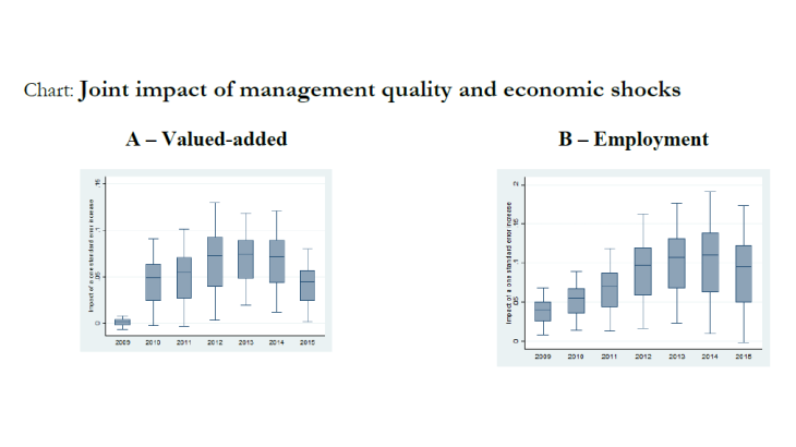 Joint impact of management quality and economic shocks