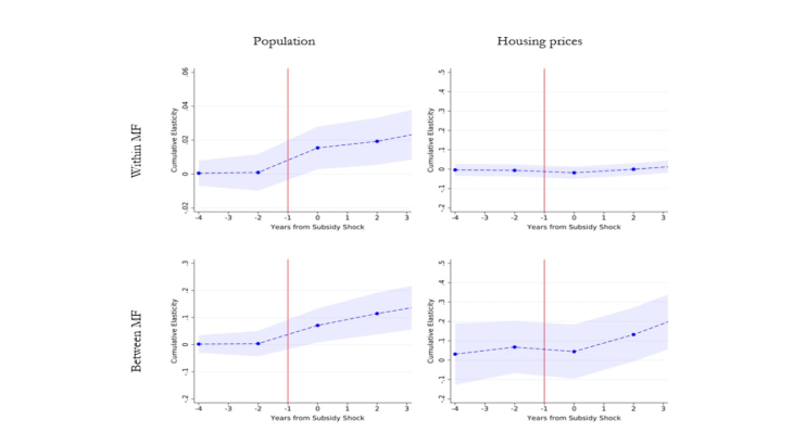 This Town Ain't Big Enough? Quantifying Public Good Spillovers