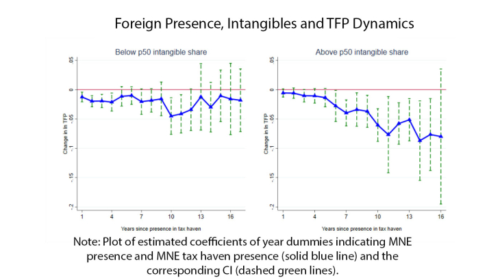Foreign Presence, Intangibles and TFP Dynamics