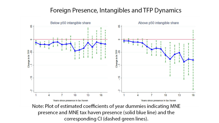 Foreign Presence, Intangibles and TFP Dynamics