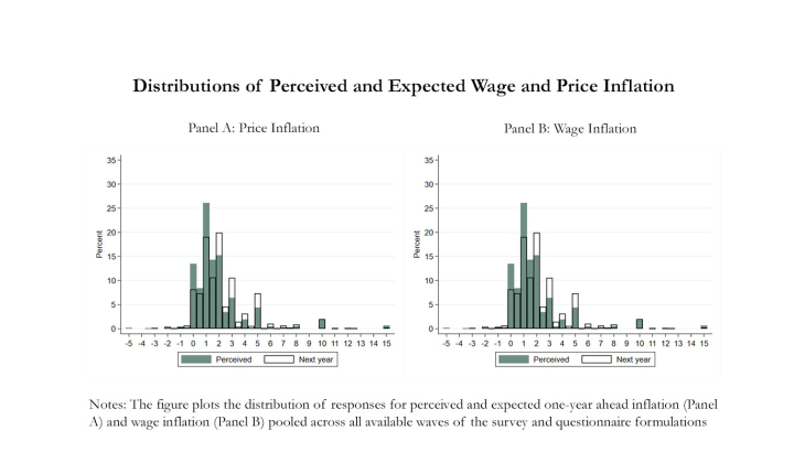 Distributions of Perceived and Expected Wage and Price Inflation