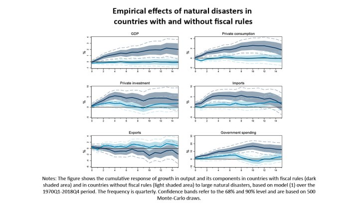 Empirical effects of natural disasters in countries with or without fiscal rules