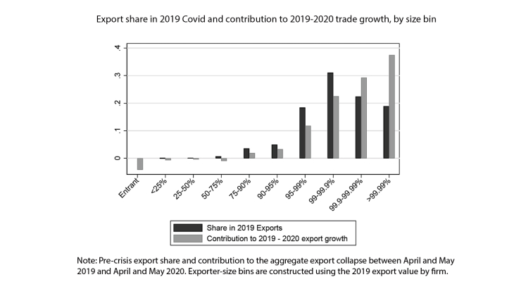 Export share in 2019 Covid and contribution to 2019-2020 trade growth, by size bin