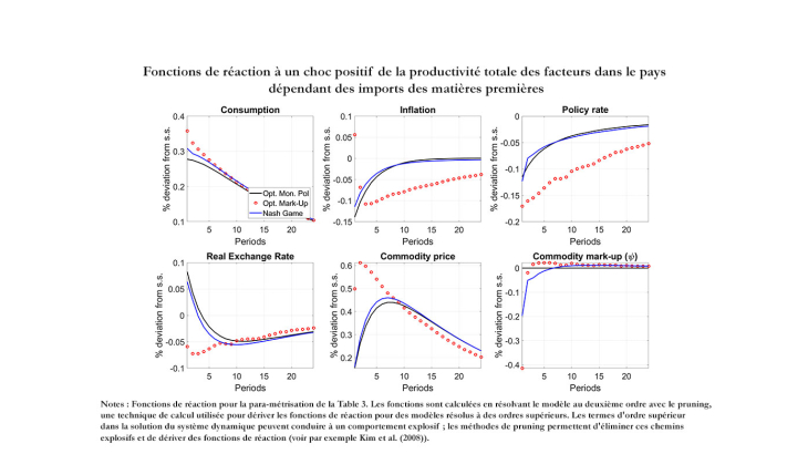 Fonctions de réaction à un choc positif de la productivité totale des facteurs dans le pays dépendant des imports des matières premières