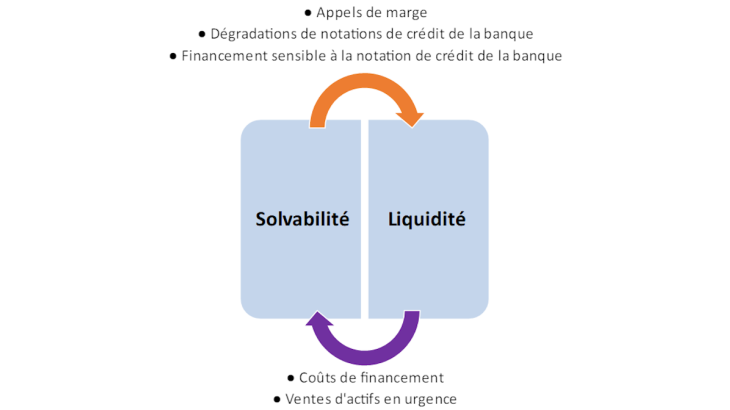 Les interactions entre solvabilité et liquidité bancaires