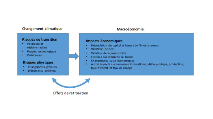 Graphique 1 : Impacts économiques du changement climatique Source : Analyse des auteurs