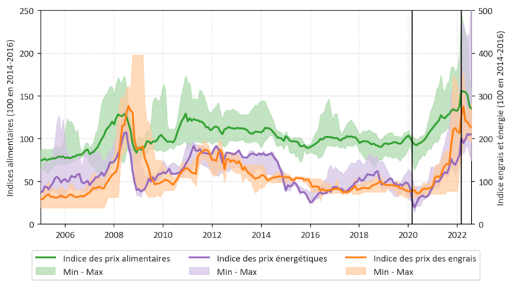 Graphique 2 : Prix mondiaux des biens alimentaires et des engrais Source : FAO (prix alimentaires), Banque mondiale (prix des engrais et énergétiques). Élaboré par les auteurs.