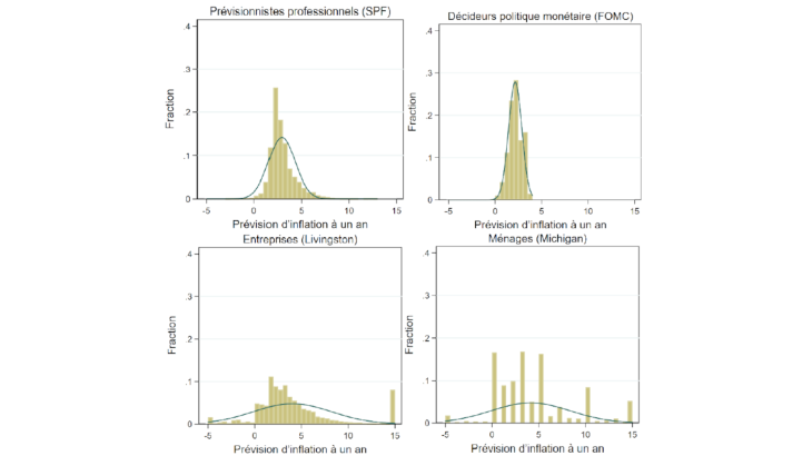 Figure 3 - Distribution dans le temps et entre individus des anticipations d’inflation aux États-Unis Source : calculs des auteurs.