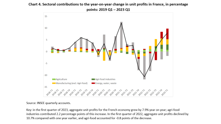 Sectoral contributions to the year-on-year change in unit profits in France