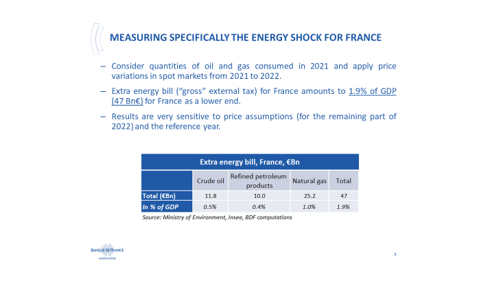 Measuring speciafically the energy shock for France